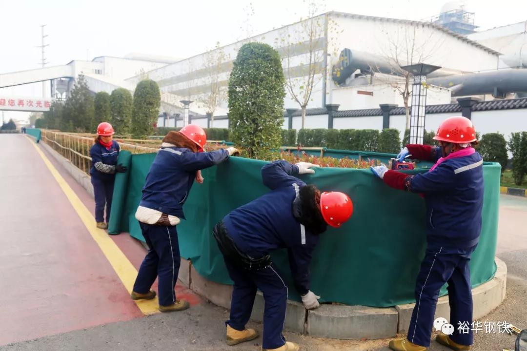 草木有本心，“棉衣”御寒冬