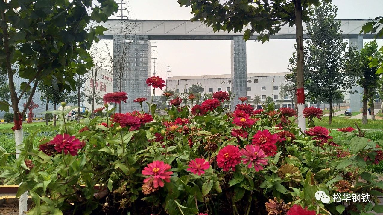 裕华春色无限好